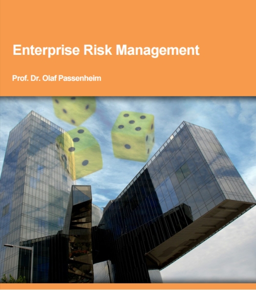 Enterprise Risk Management eBook