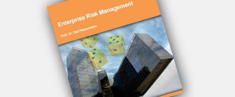 Enterprise Risk Management eBook