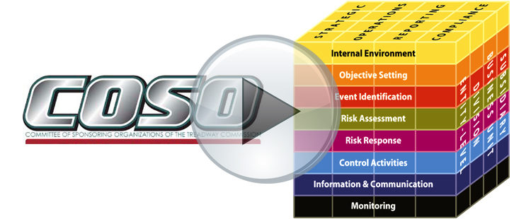 COSO Enterprise Risk Management Videos